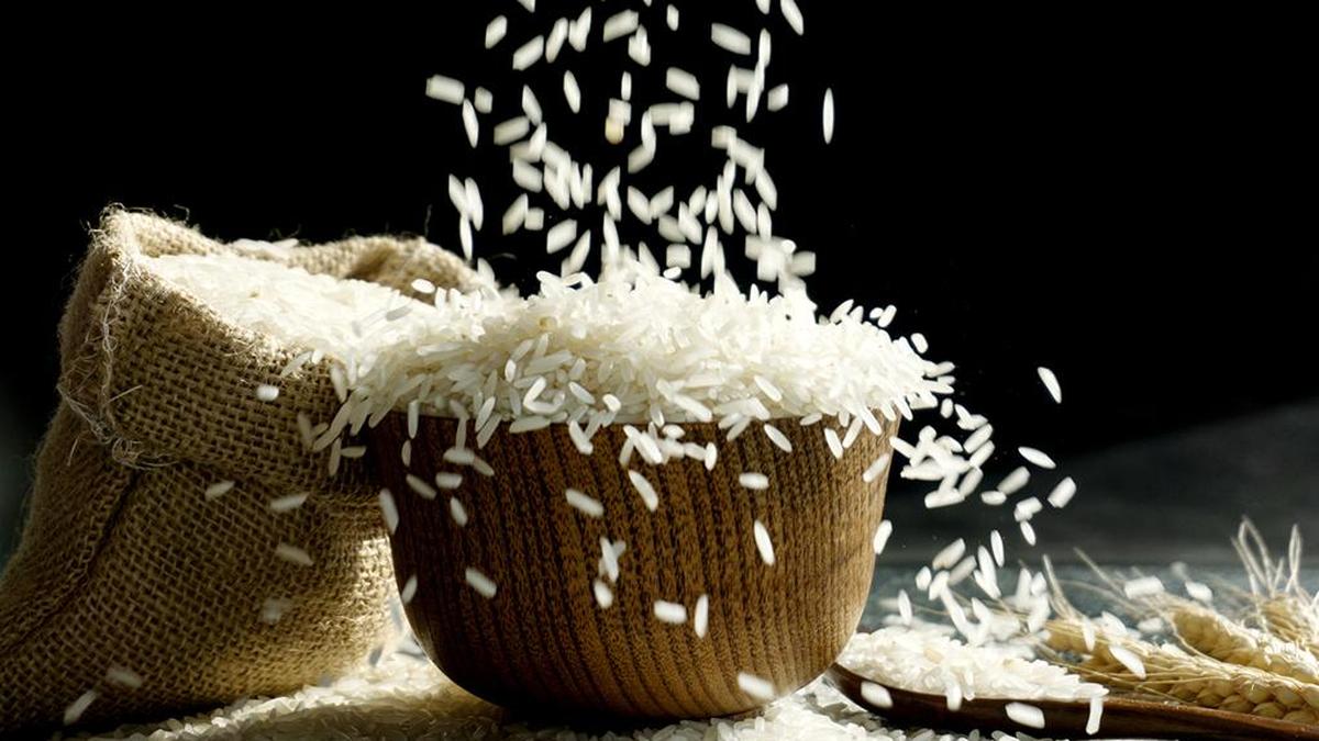 Apeda resumes rice export registration to the Philippines, Senegal after import curbs lifted