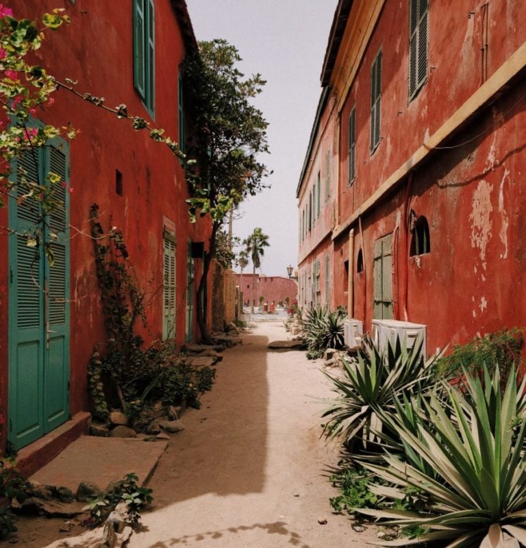 How to Start Forex Trading in Senegal